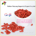Concentrated powder of Goji /wolfberry